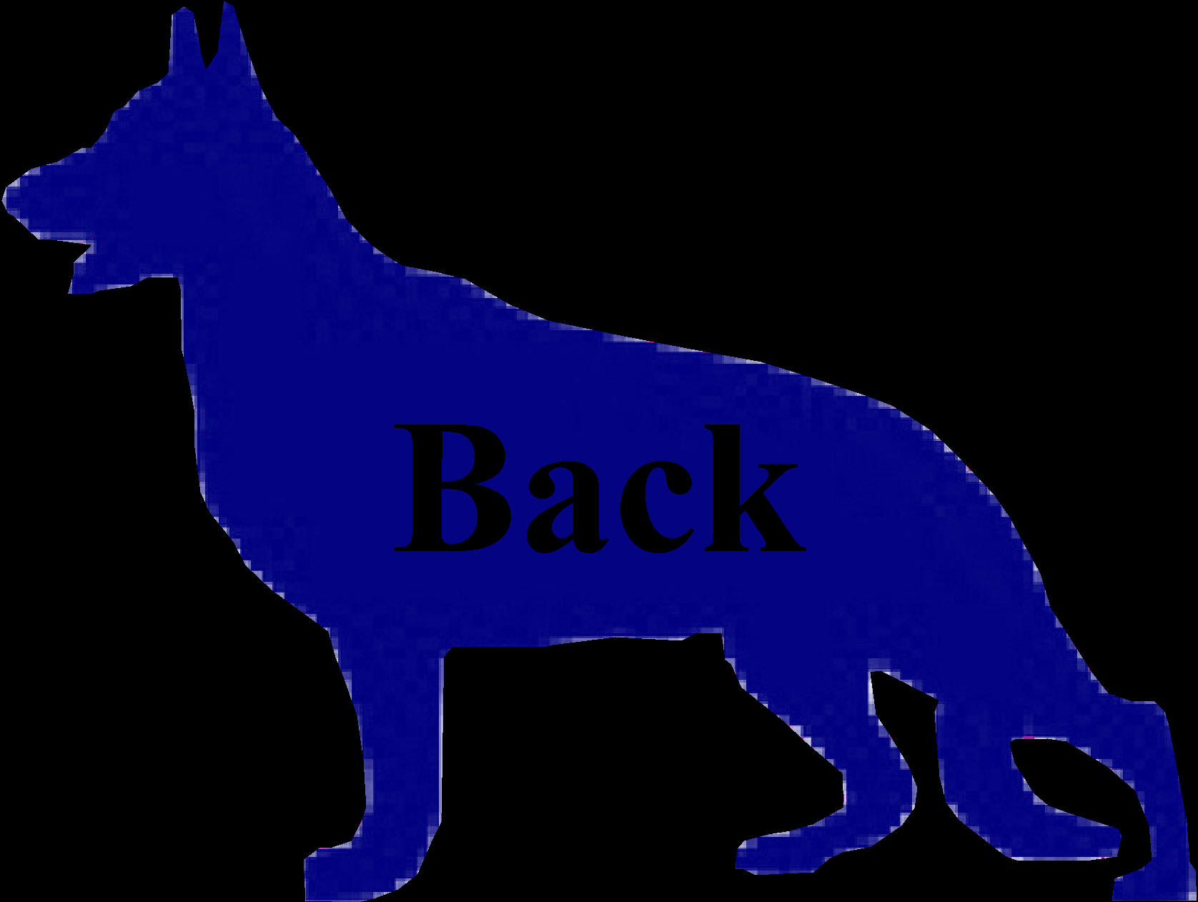 Back Button