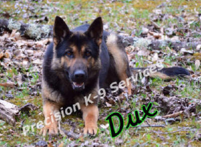Dux