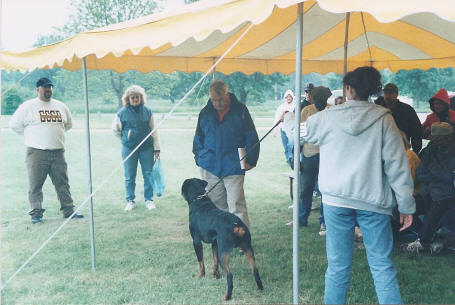 Mauser ARV show Wisconsin